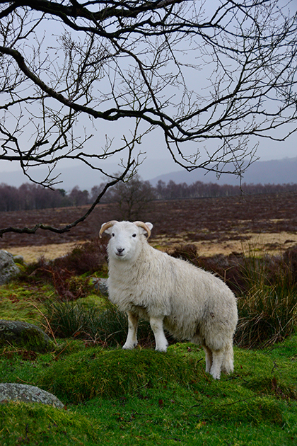 Nikon D3300 Review - image quality