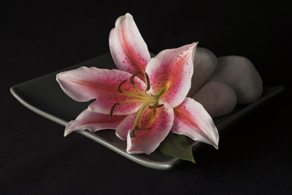 Fujifilm X-T1 vs Nikon Df - X-T1 ISO 1600