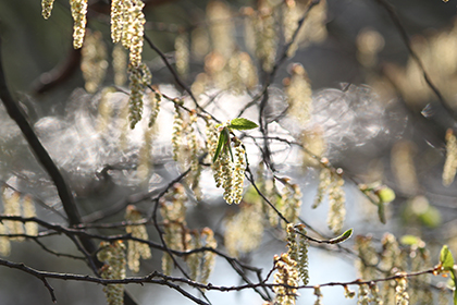 Canon EOS 1200D Review - sample images