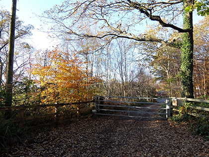 Fujifilm XQ1 Review - sample image
