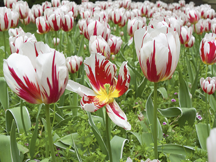 Panasonic Lumix GH4 Review - sample image