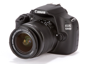 Worth the DSLR upgrade? See if you should buy the latest DSLR or opt for a previous generation model