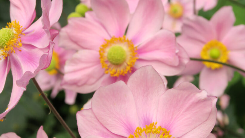 1/160 sec @ f/8, +1 EV, ISO 500, Manual white balance