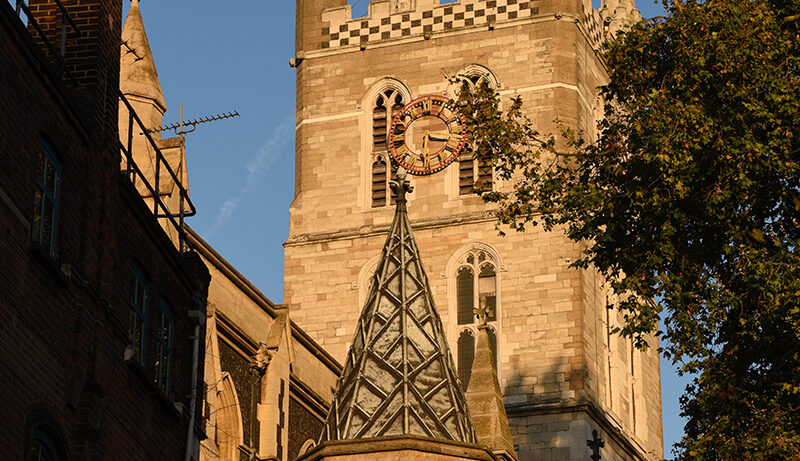Nikon D750 sample image 19