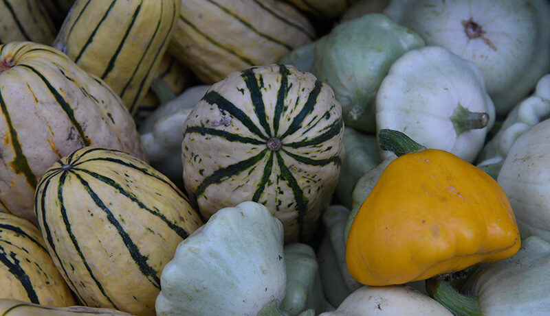 Nikon D750 sample image 2