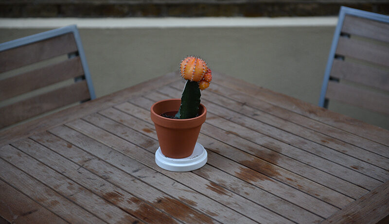 Nikon D750 sample image 24