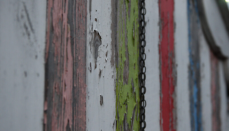 Nikon D750 sample image 6