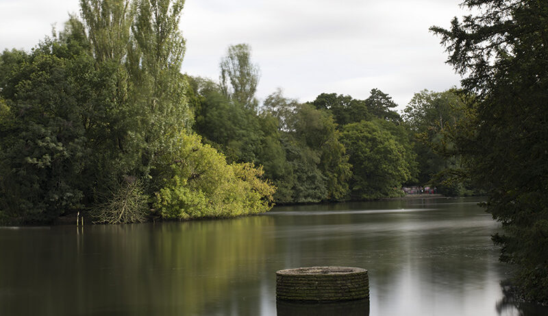 Pentax 645Z sample image raw original