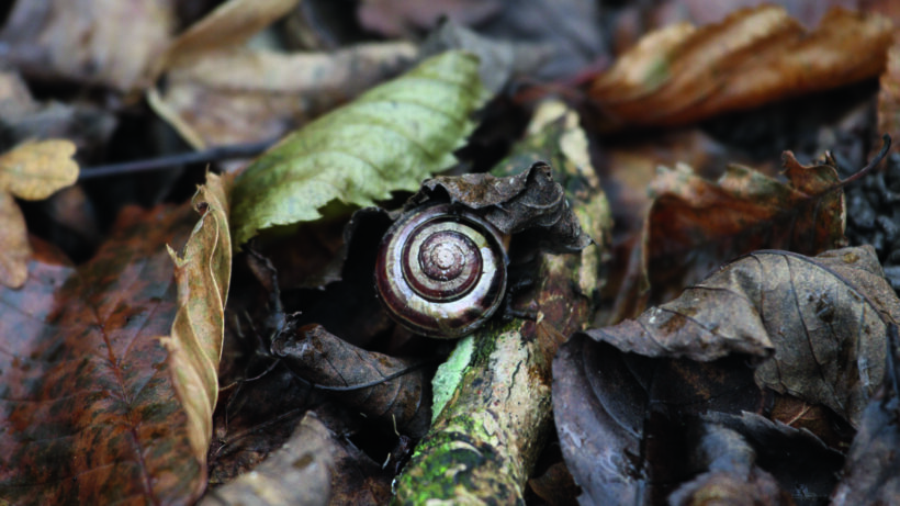 Canon EOS 7D Mark II sample image 10