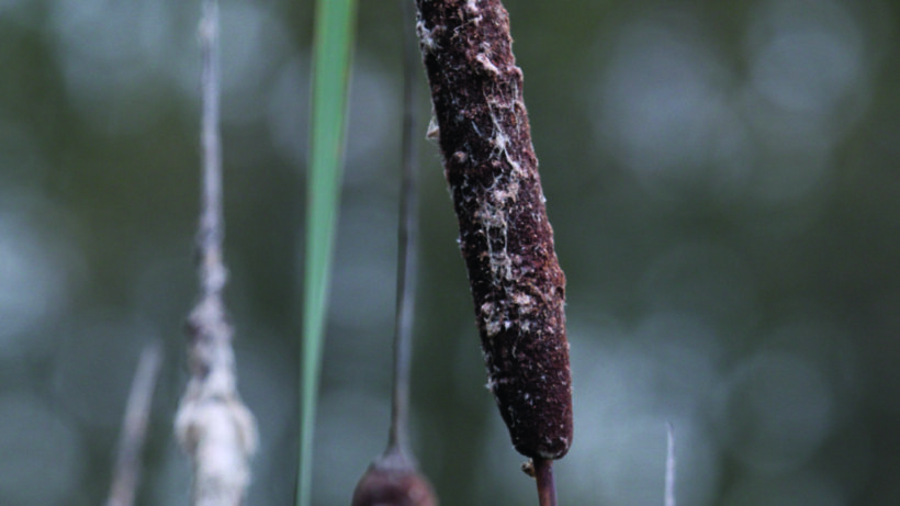 Canon EOS 7D Mark II sample image 12
