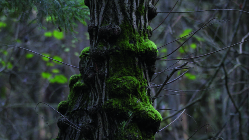 Canon EOS 7D Mark II sample image 2