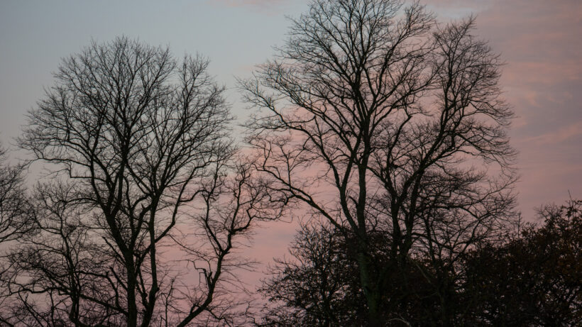 Samsung NX1 sample image 2