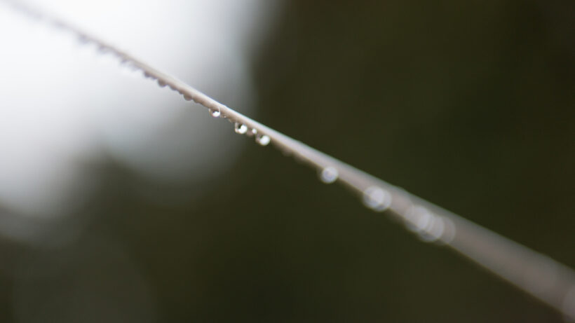 Samsung NX1 sample image 6