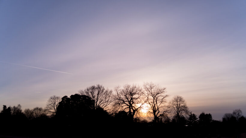 Panasonic Lumix CM1 sample image 3