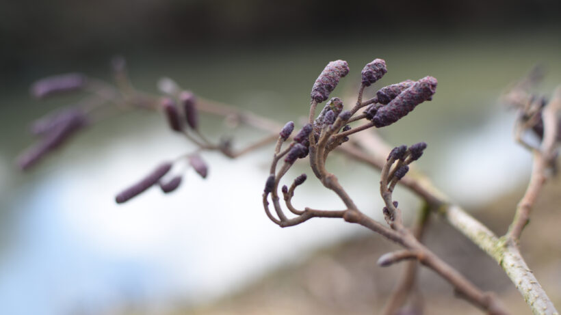 Nikon D5500 sample image 11