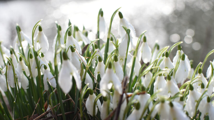 Nikon D5500 sample image 14