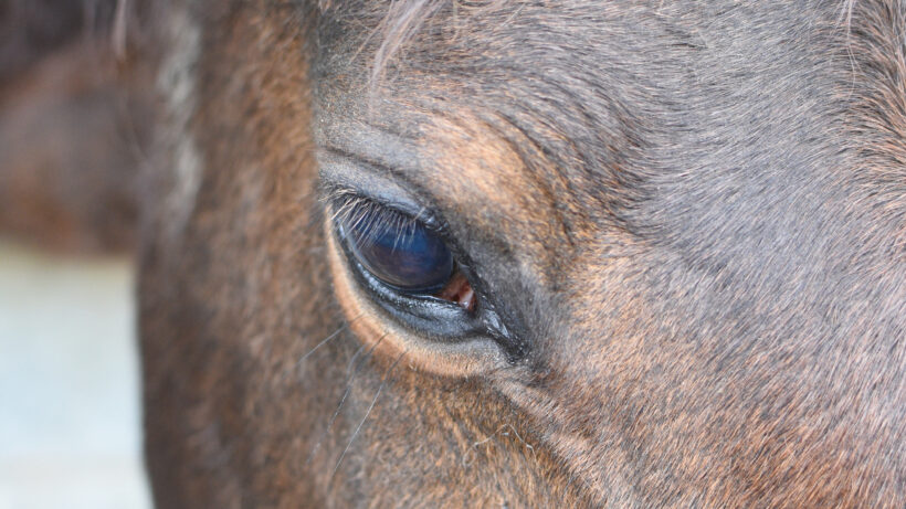 Nikon D5500 sample image 5