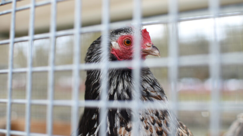 Nikon D5500 sample image 9