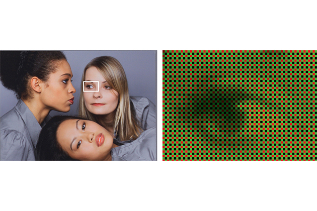 Raw image file: What is it and how does it work?