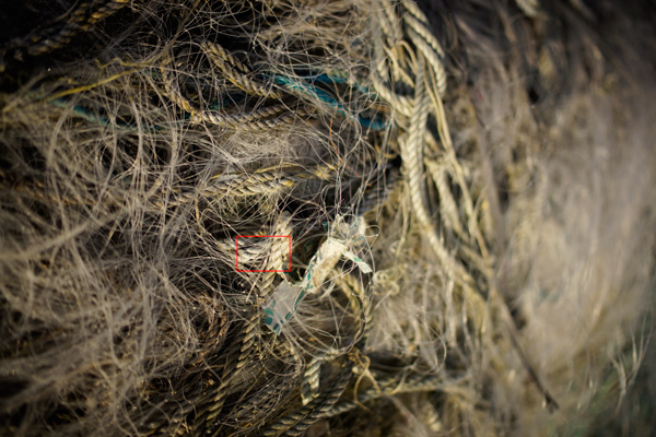 Red/Cyan Chromatic aberration is in out of focus highlight areas when shooting at f/1.4