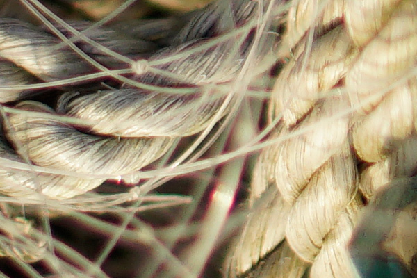 detail-f1.4CR
