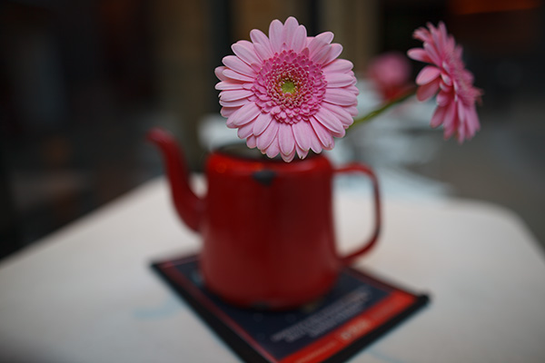 Sigma 24mm focus