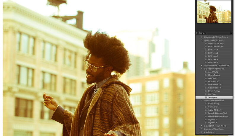 Adobe Lightroom 6 - Develop Presets