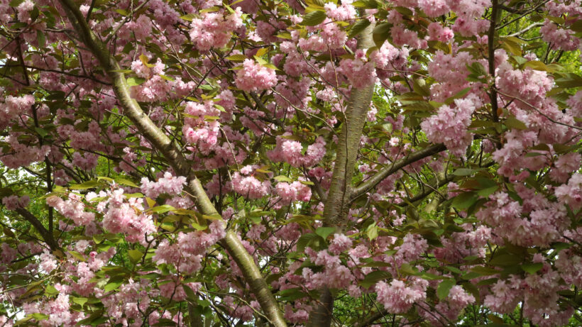 Canon EOS M3 sample image 1