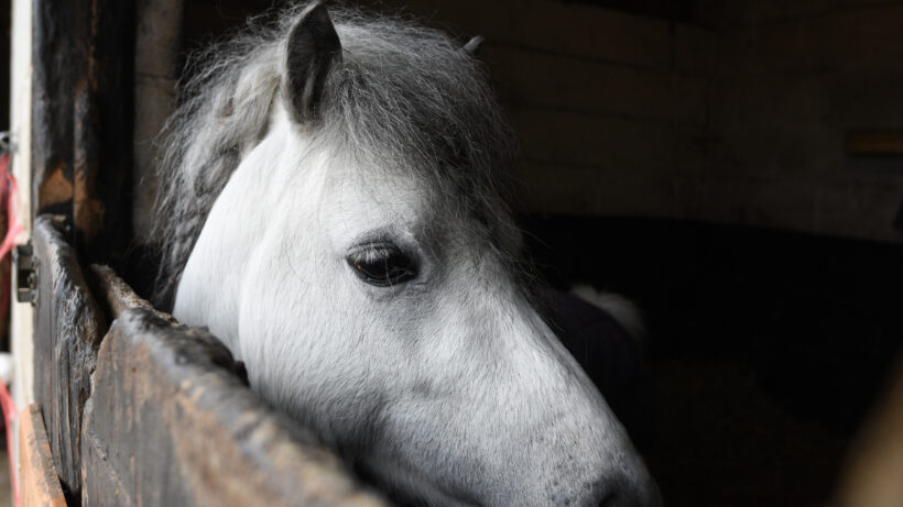 Nikon D7200 sample image 10