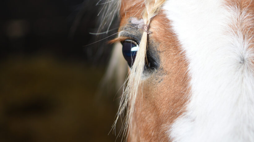 Nikon D7200 sample image 11