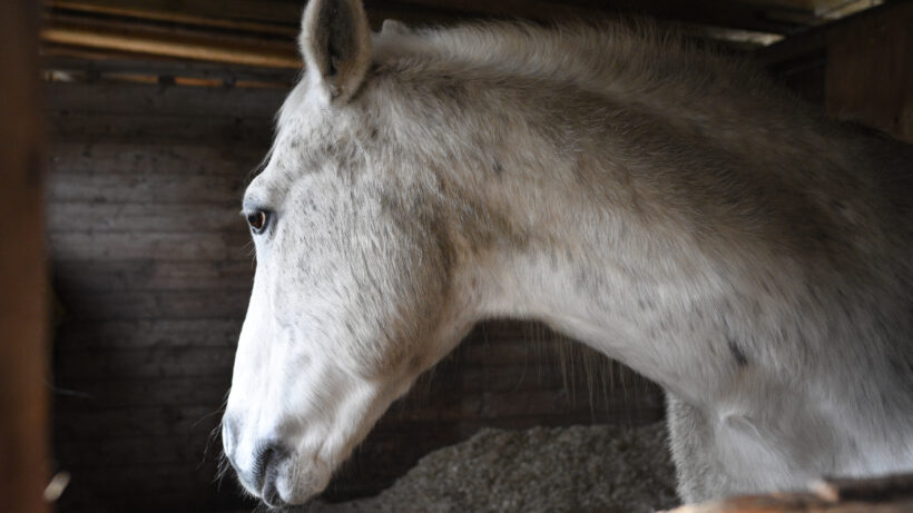 Nikon D7200 sample image 4