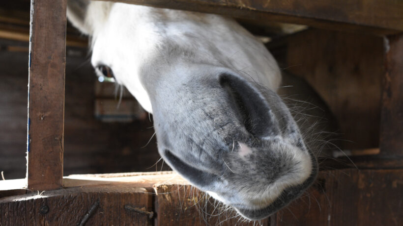 Nikon D7200 sample image 5