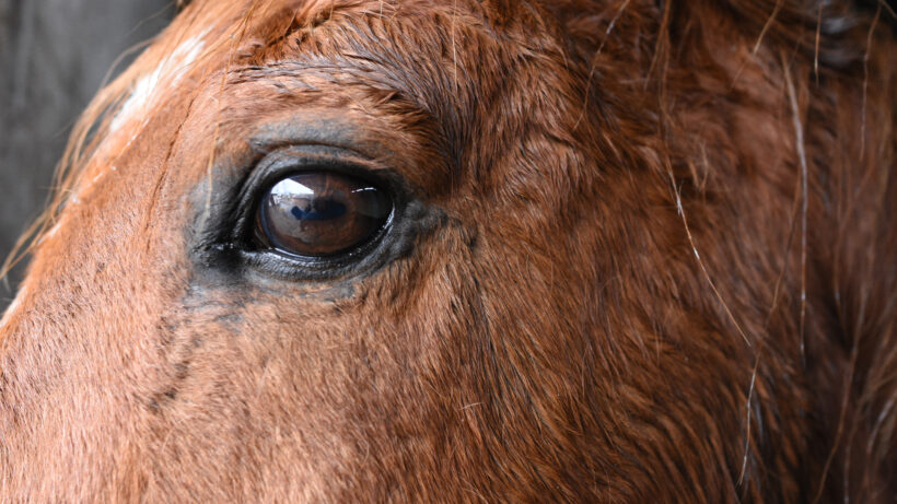 Nikon D7200 sample image 9