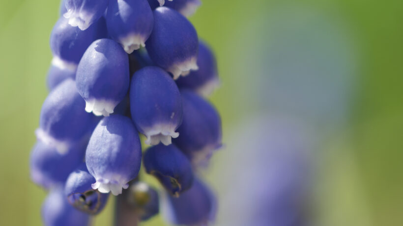 Samsung NX500 sample image 11