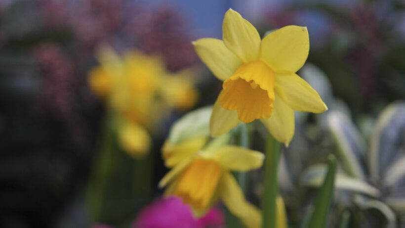 Samsung NX500 sample image 14