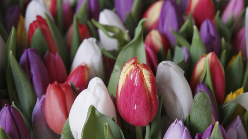 Samsung NX500 sample image 15