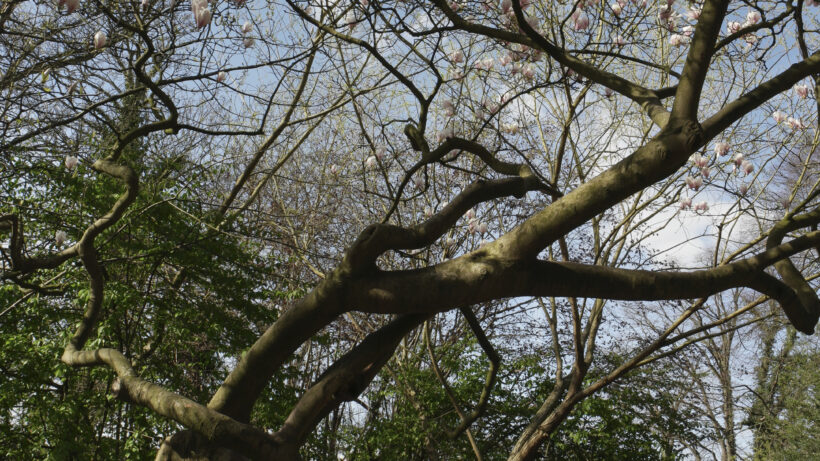 Samsung NX500 sample image 2