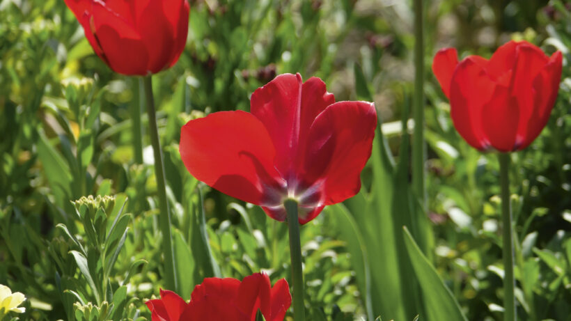 Samsung NX500 sample image 4