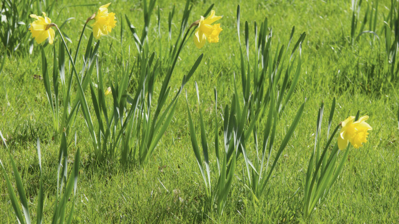 Samsung NX500 sample image 6