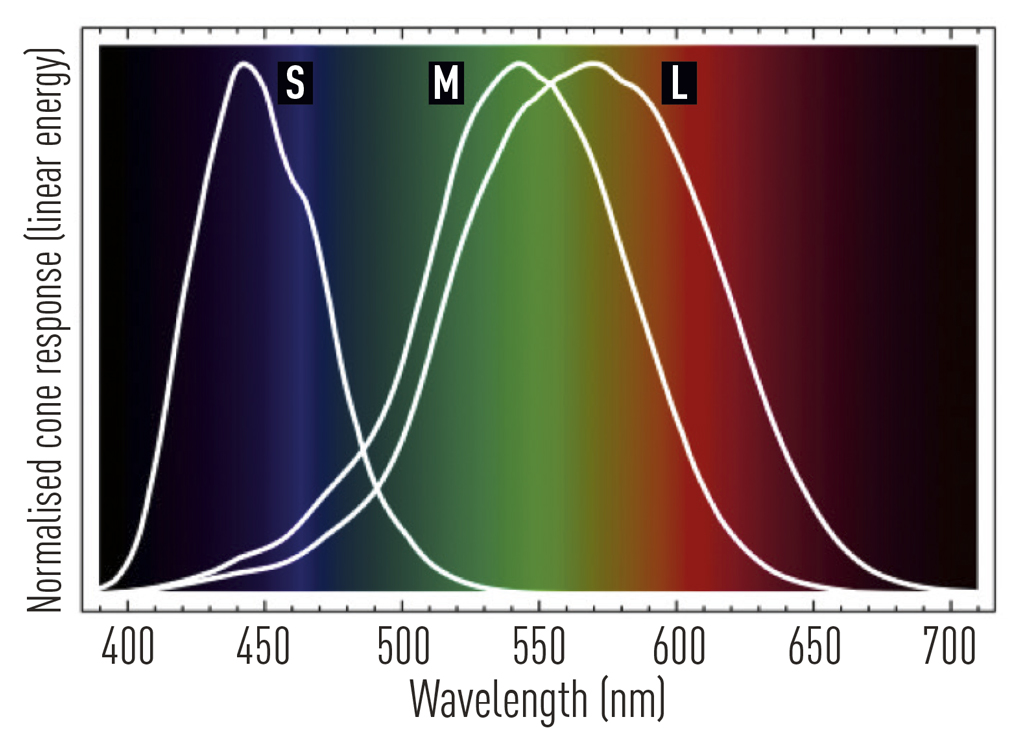 colour balance