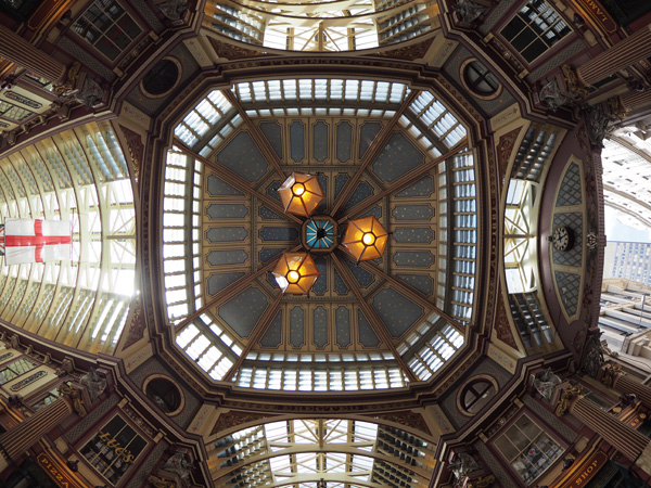 Olympus 8mm f/1.8 Fisheye on OM-D E-M5 II