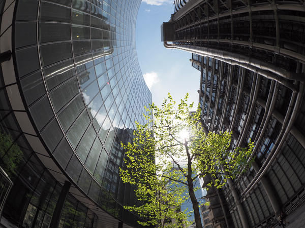 Olympus 8mm f/1.8 fisheye on OM-D E-M5 II; f/5.6