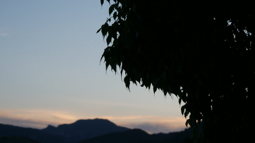 Panasonic Lumix G7 sample image 1