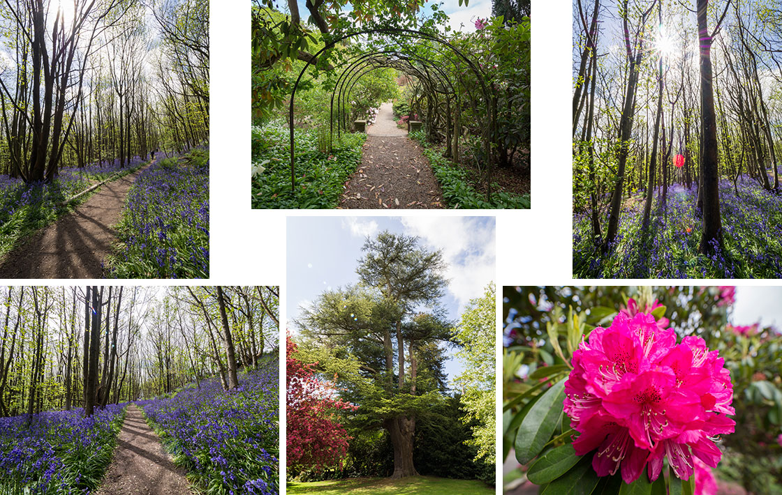 Olympus 7-14mm f/2.8 image samples
