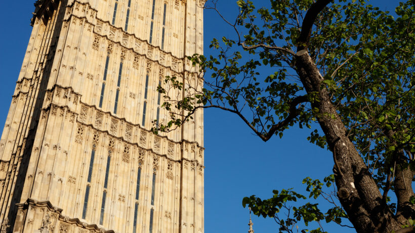 Canon EOS 5DS R sample image 2 reduced