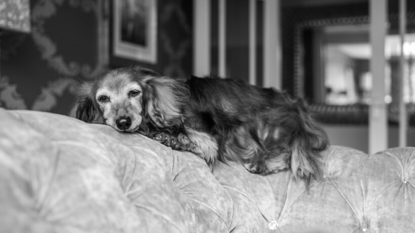 Leica M Monochrom sample image 4
