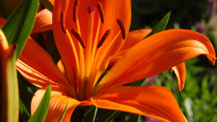Sony HX90V sample image 3