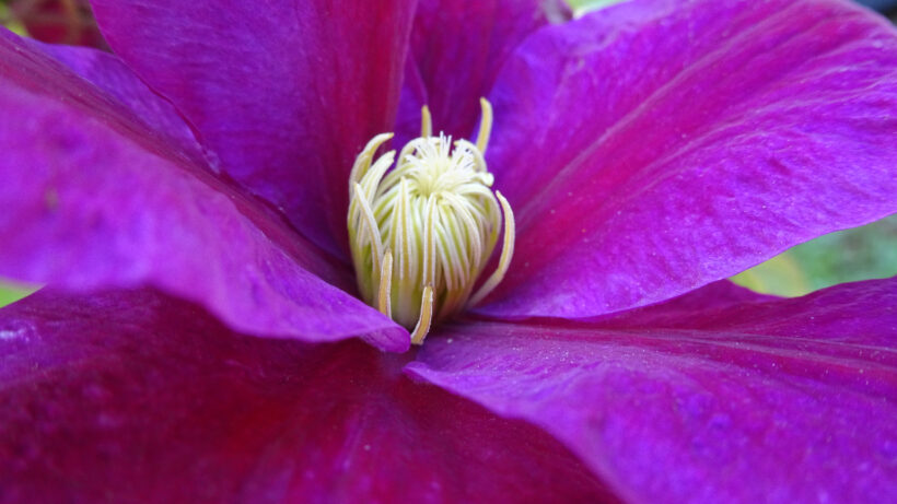 Sony HX90V sample image 4