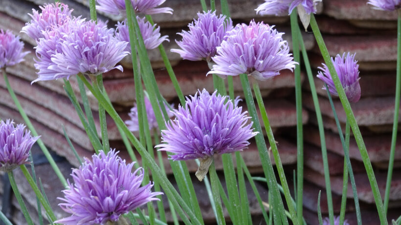 Sony HX90V sample image 5