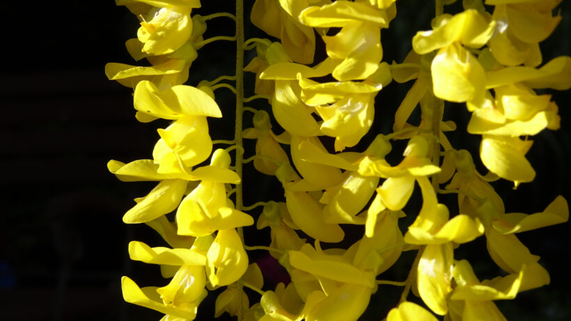 Sony HX90V sample image 6